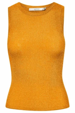 Silvigz Top