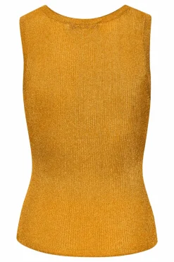Silvigz Top